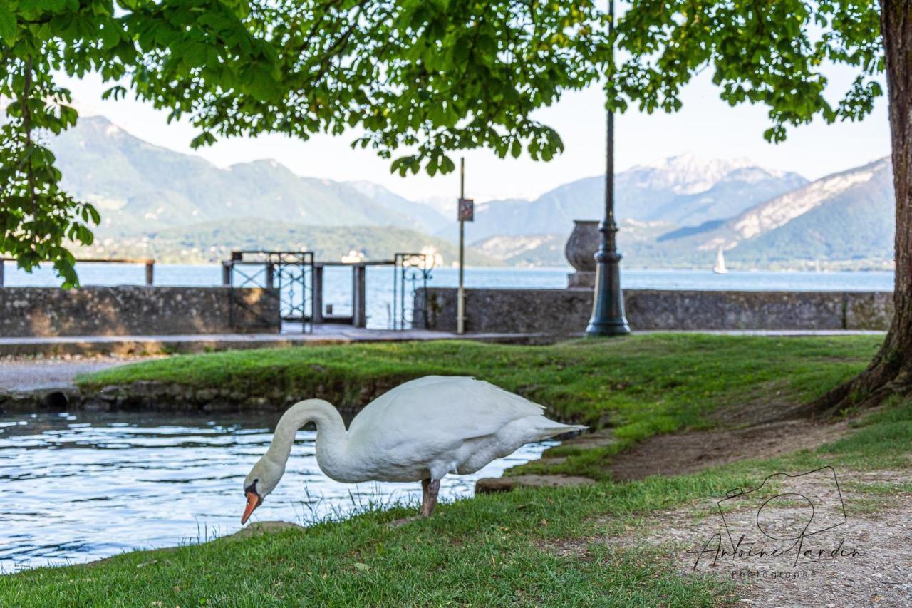 L'Amedee - Appt A 500M Du Lac Annecy Zewnętrze zdjęcie
